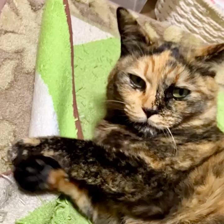 62b3cd96 8b94 4eb2 a743 c3f4aa37254b 1736683165402