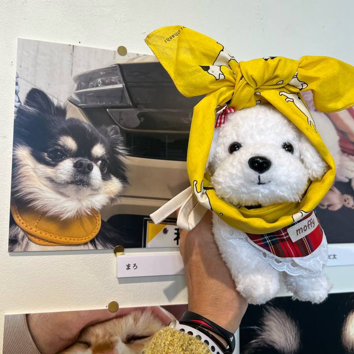 62b443c2 da1e 461c 9bbb f922aea4aa62 1766224466097