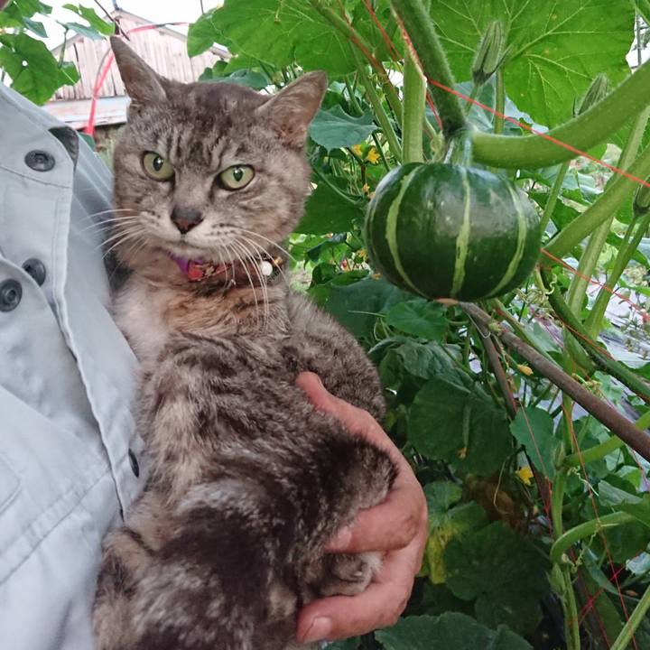 62b44f8e ce96 41e7 bd92 9d609b111290 1594203338901