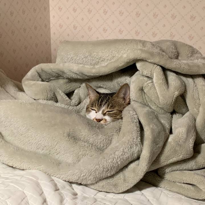 62b4bfd2 5124 44ef 8cc2 78f44789bac3 1647611141199