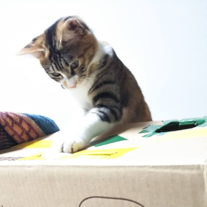 62b4df57 03ae 4948 b0a6 73b3628520b1 1638666029614