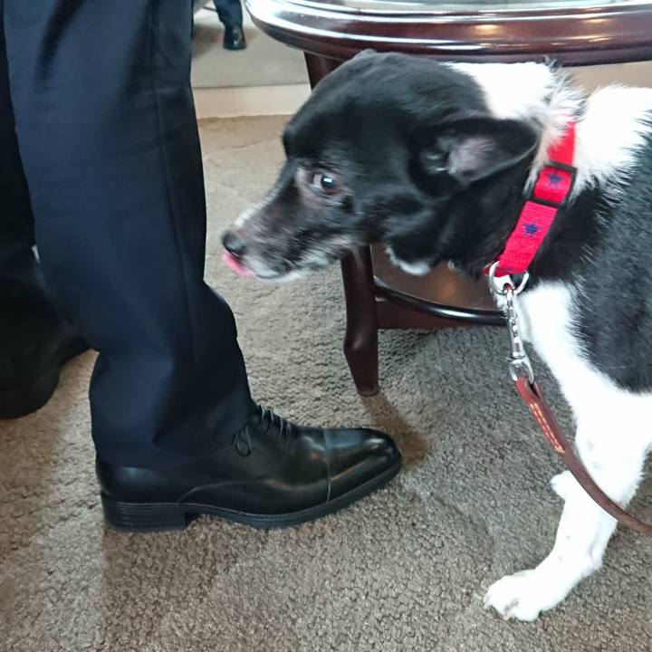 62b5ad96 38a2 40f3 a04c 9a4804db58dd 1648683760582