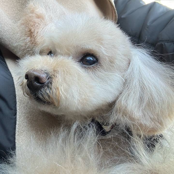 62b5bfc3 3620 4137 b4b7 51300be6400d 1773243016921