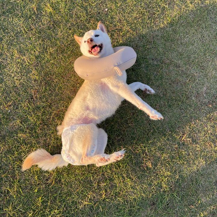 62b6318a 7239 42d3 9fe5 bb973a28fae3 1667385484556