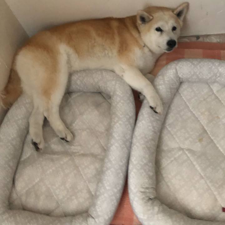 62b6568a fc18 4acc 8df1 2d16ec56b86b 1561785895161