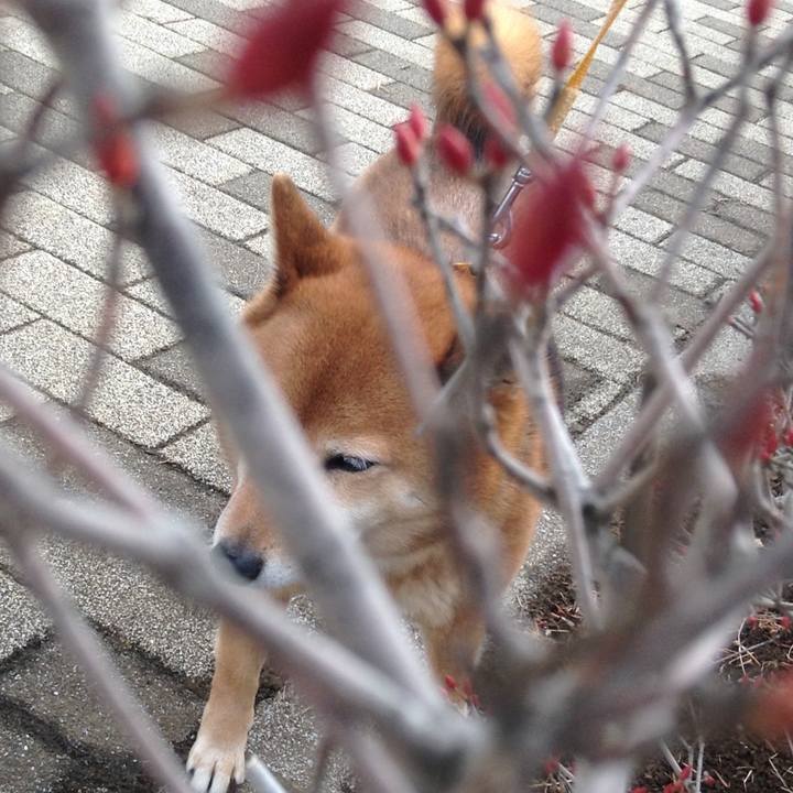 62b6676a db37 4eca a15e 54adc2507986 1516425017898