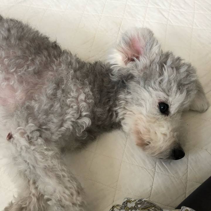 62b6760a 6ccc 47ee 976d 4441d3077254 1568074232939