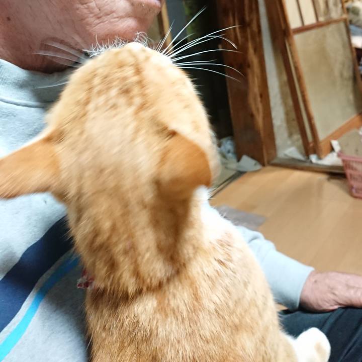 62b6c437 81e7 42cf 8121 87cbd9b16883 1602445969606