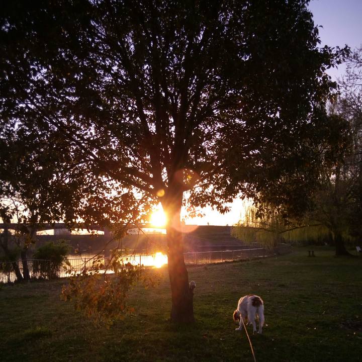 62b6f67b 525c 48f2 9682 7879c62b7377 1522064312782