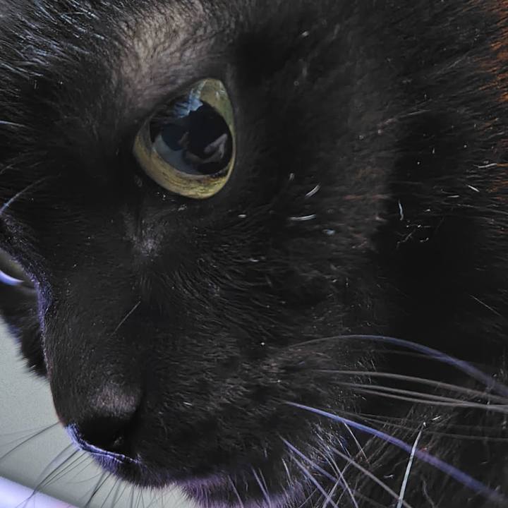 62b70a92 1387 40ca ba9f 69d3418fc962 1771071676739