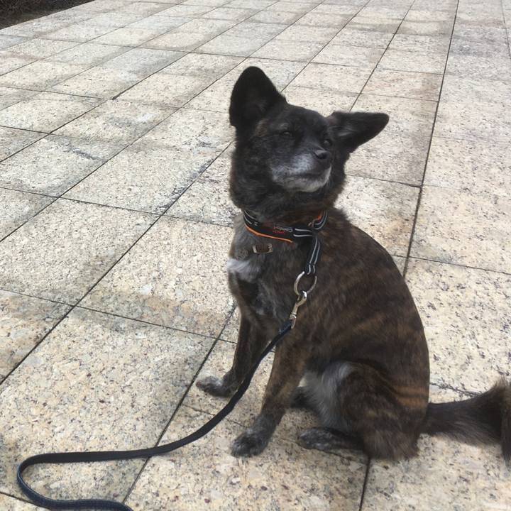 62b778ff 7c55 4c79 ba21 aea9a85b2bb6 1548681010135