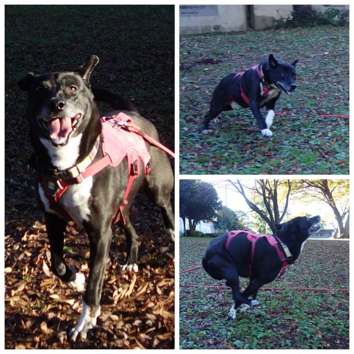 62b78efd 37f3 408c 95a0 ac2d231d1df7 1700351205602