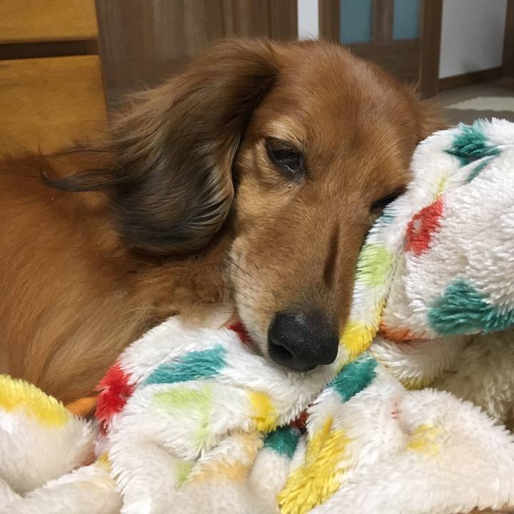 62b78f21 4cb2 45ed af5c 75c00d8078f6 1546235095472