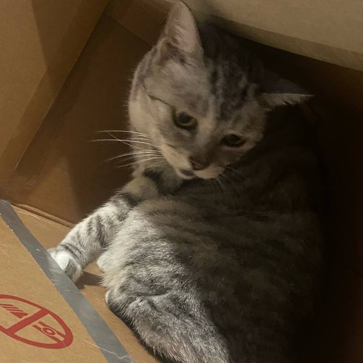 62b7994d 05f0 429b a29d b7d8865d30c7 1727975529196