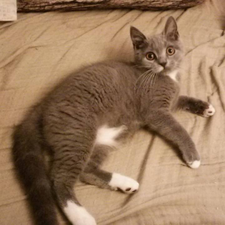 62b7a0ca 6b5e 4c6c b365 420d28ea2ef5 1533767080275