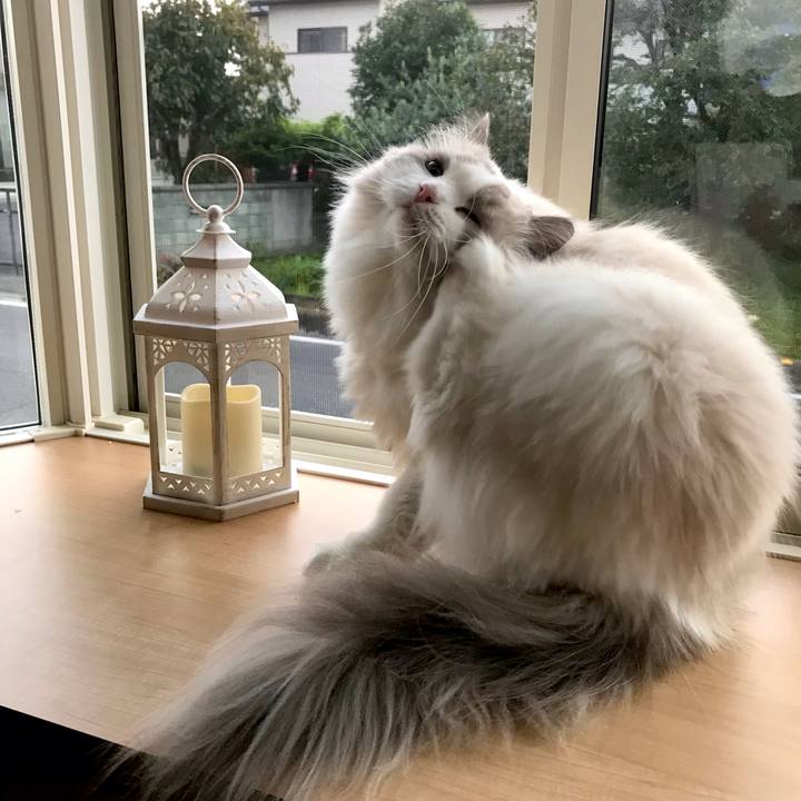 62b83b02 4200 4632 acb9 a7352f2f8b9e 1631655374915