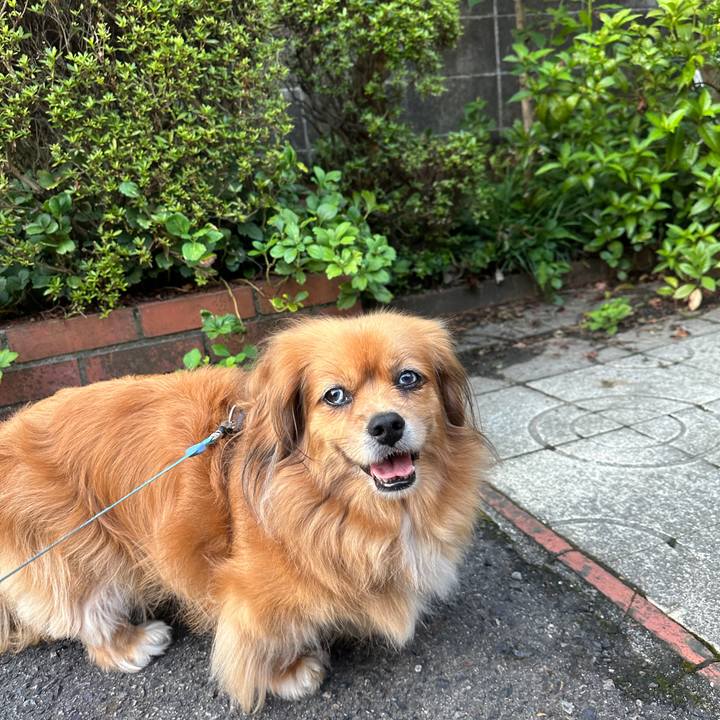 62b84394 84cb 42ac 8f0f 170278cc0e00 1689023615757