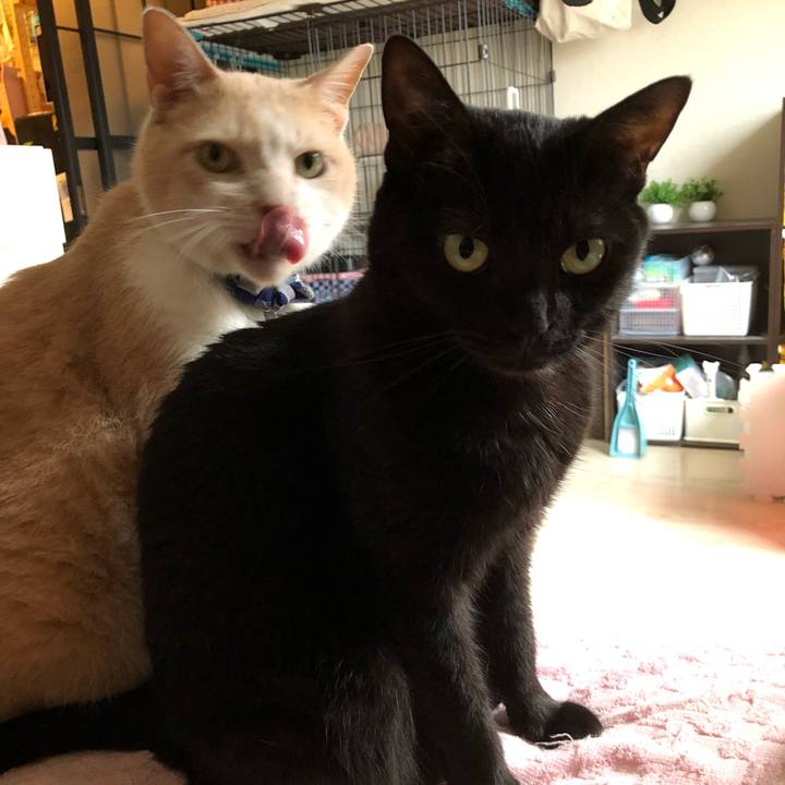 62b85bd6 e0f3 4702 80a9 c1d18c508491 1560077195702