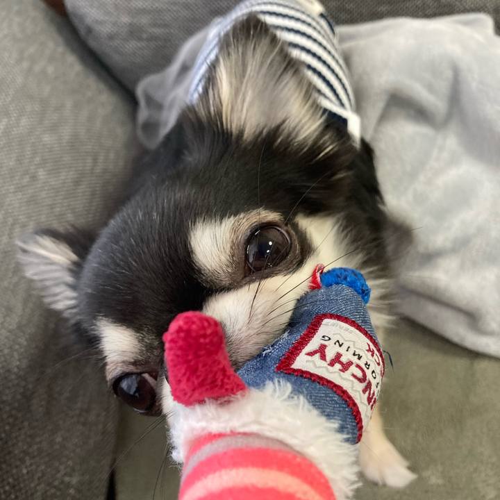 62b8857f 5c64 4c13 adc1 7253cb56cc29 1619651805791