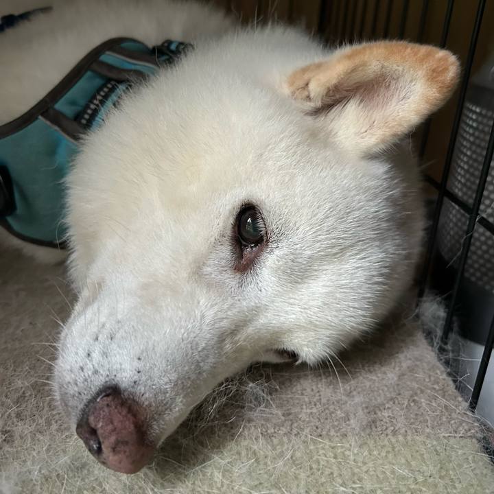 62b8b797 a02f 4bfb 9d79 584115f44565 1756505234152