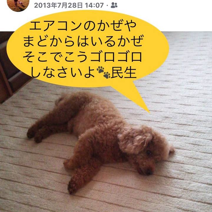 62b8c40b 2cb4 441d b159 eb4c5084d686 1532850132277