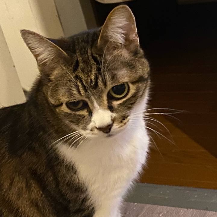 62b8dc7e 7b19 47a1 b308 e12948605426 1676320091197