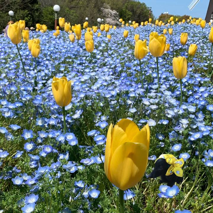 62b90bdf bcd6 46bd 94ad b2372878aeb2 1712751582392