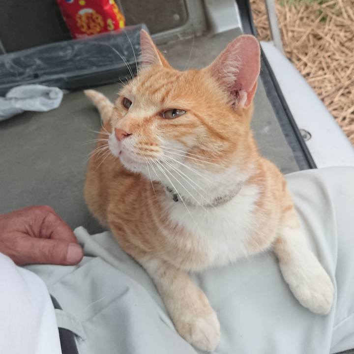 62b91db7 032d 4b9c 8f7a 34929804a752 1591866173100