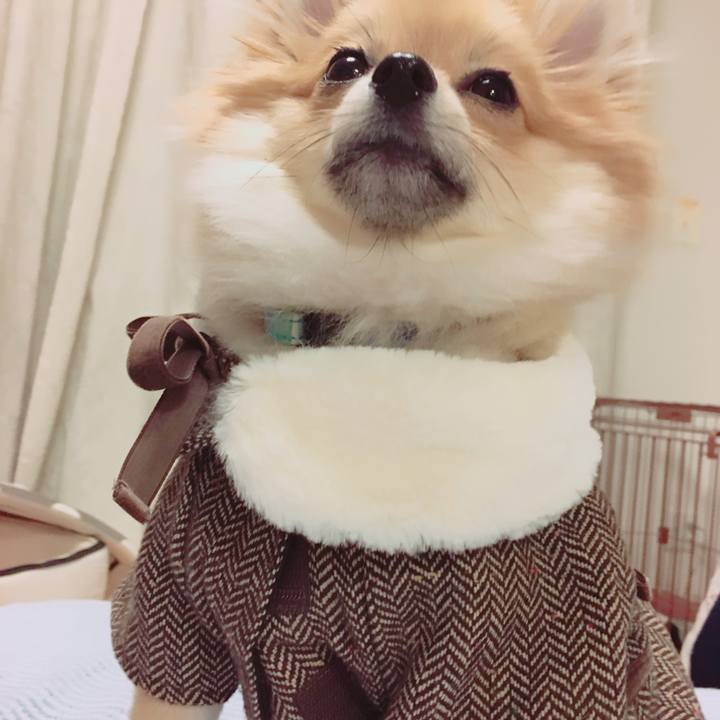 62b92f6c adca 41d7 940c 6d2f2d1ce48e 1512223176753