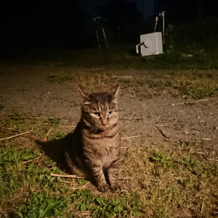 62b9453a f207 435e b7b8 1b7d03d3e42e 1655378901174