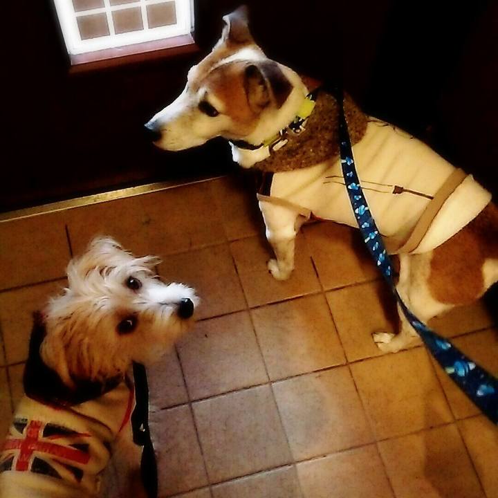 62b95300 b26c 4b0e a9f0 f727d654066c 1516426066342