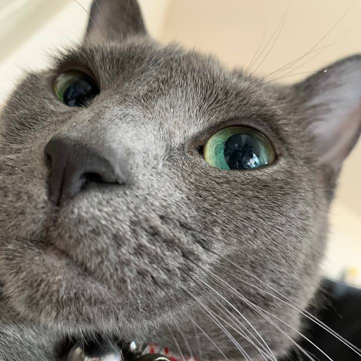 62b9d6fe 2ede 42af aabe c46f5e5334b5 1590835407263