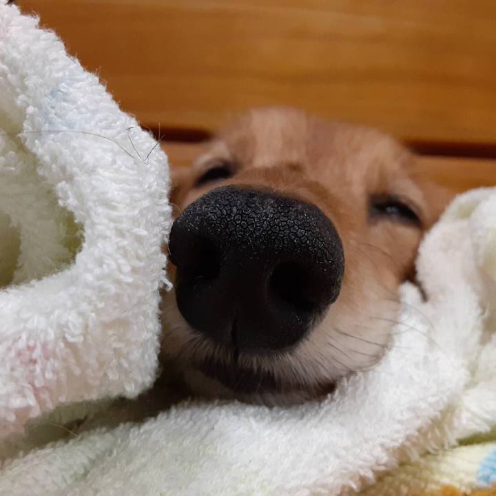 62b9dcdc 0fbb 4eea a477 f3da57c75db8 1626782947957