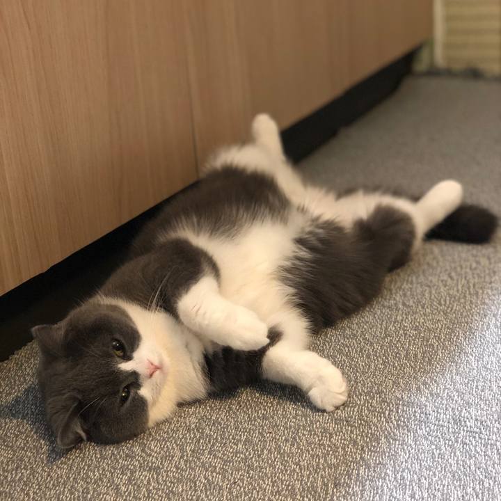 62b9e2ec 0184 4654 8952 2457a92768ba 1559224868428