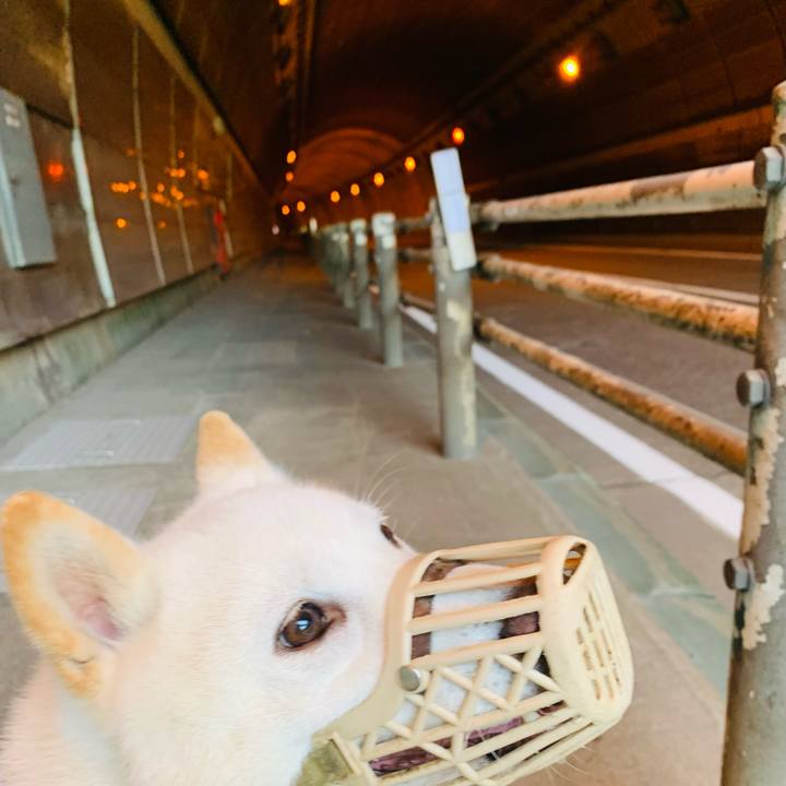 62ba1a29 07d8 4499 bdf2 28d5fc247586 1625432257449