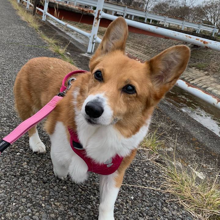 62ba22e9 7bc5 4f40 83a9 e54a9d78e434 1709608555578