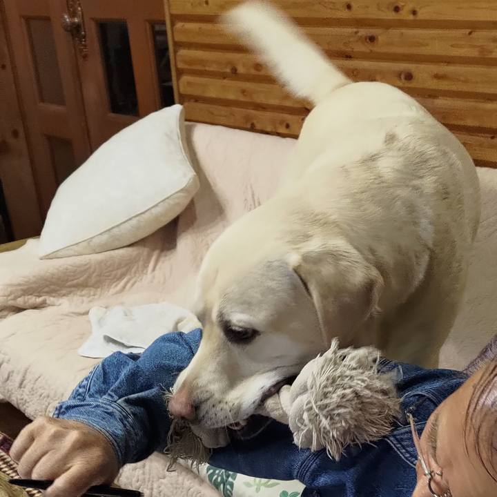 62ba4ae6 5d38 4824 bb51 fee398724ce3 1668854760757