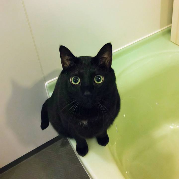 62baabdd 3d36 47ab abd3 702090696a20 1765402335103