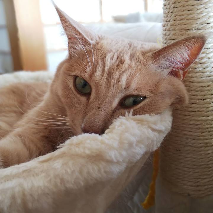 62bb2376 89f4 4afd bb40 70b017f51833 1599277848343