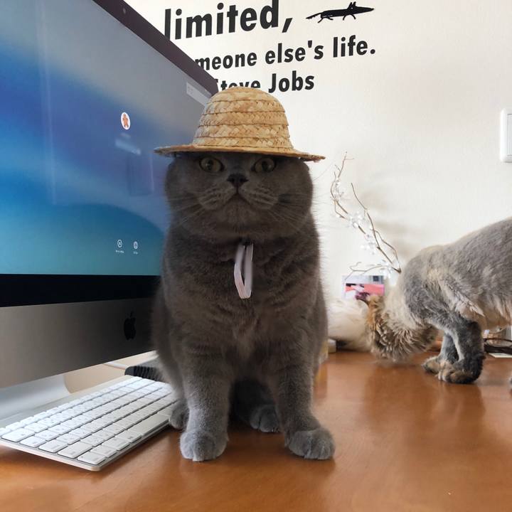 62bb796b a6aa 4dcf 8d25 568df2025de0 1524887188746