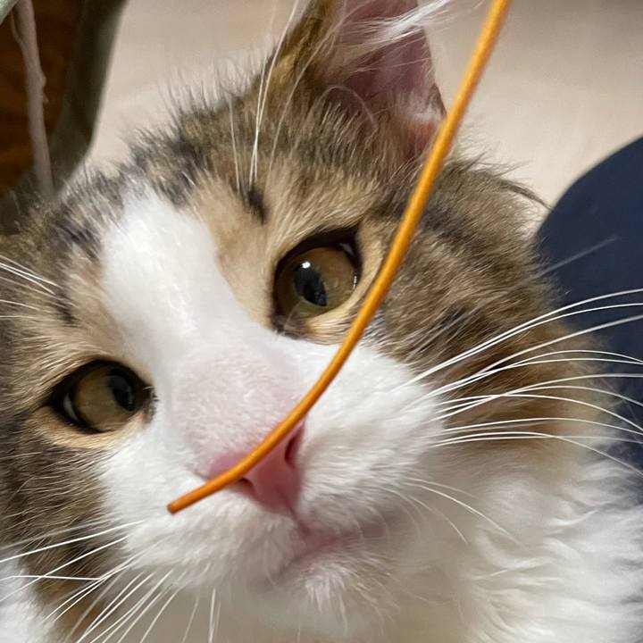 62bb848c 1f86 4681 b0a4 1f3370634b85 1636635102655