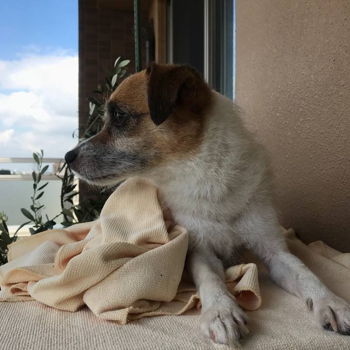 62bb87f2 a5a7 44c1 b17f 919dc102332d 1532998580085