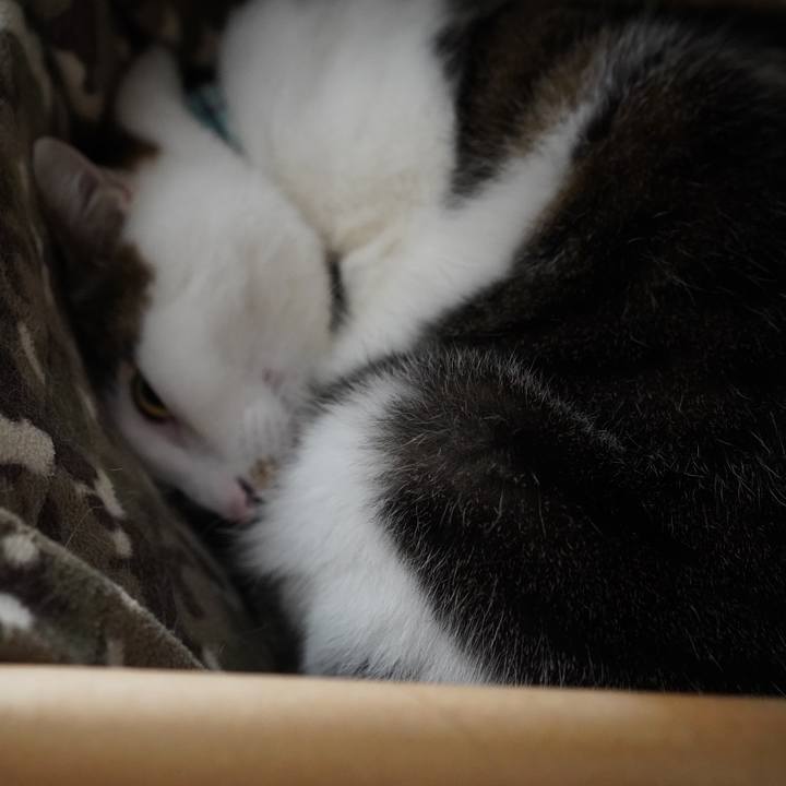 62bbb530 79e6 4b89 89bb 1b3308ecc068 1574295023162