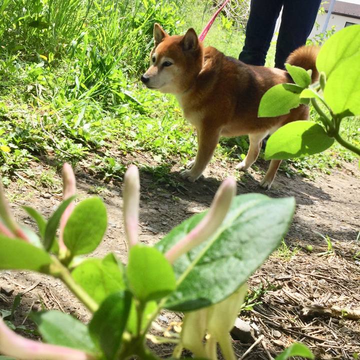 62bbd277 834b 4050 af4b 19a358d39038 1620098676860