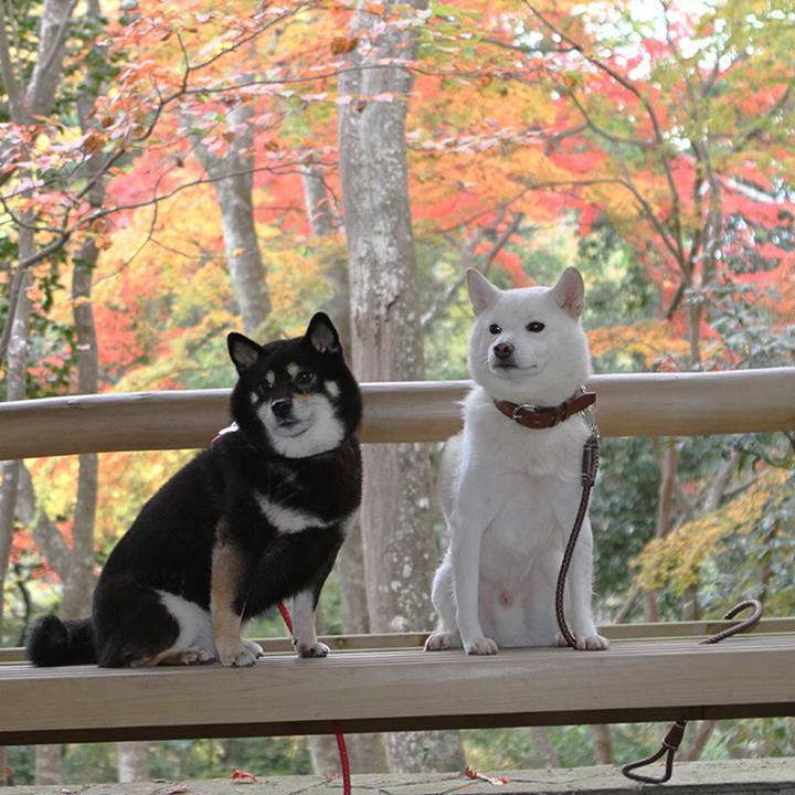 62bc106f c8ec 474f 8733 5dec4dbe1271 1574396300785