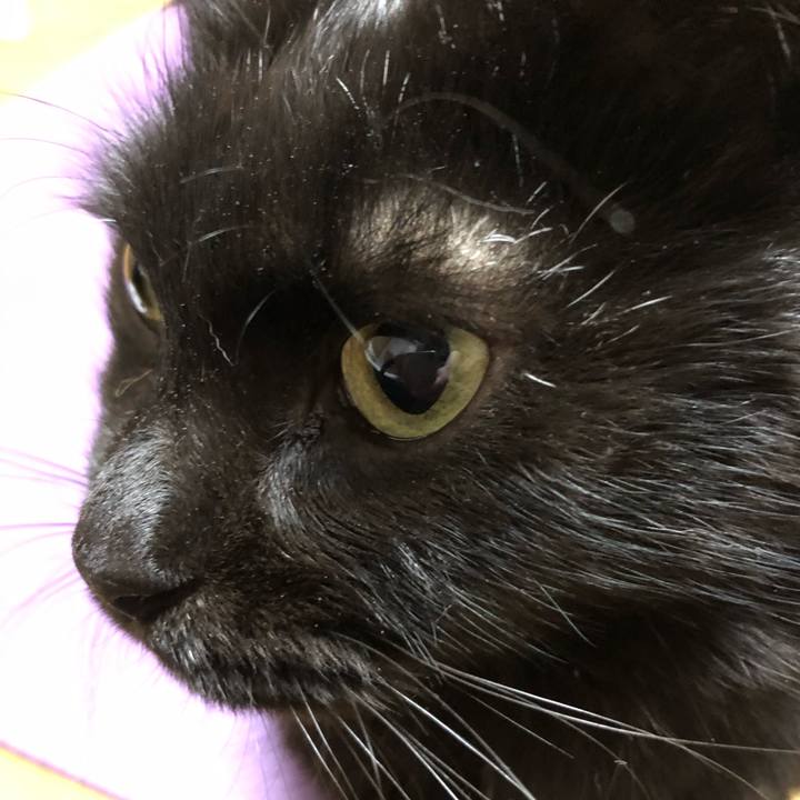 62bc7518 e508 40cd 8e12 e1b8cc91e976 1609420361021