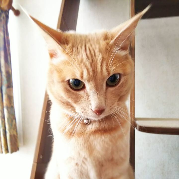 62bc7fce 1be6 4471 aea1 9cebde28db9b 1601768343406