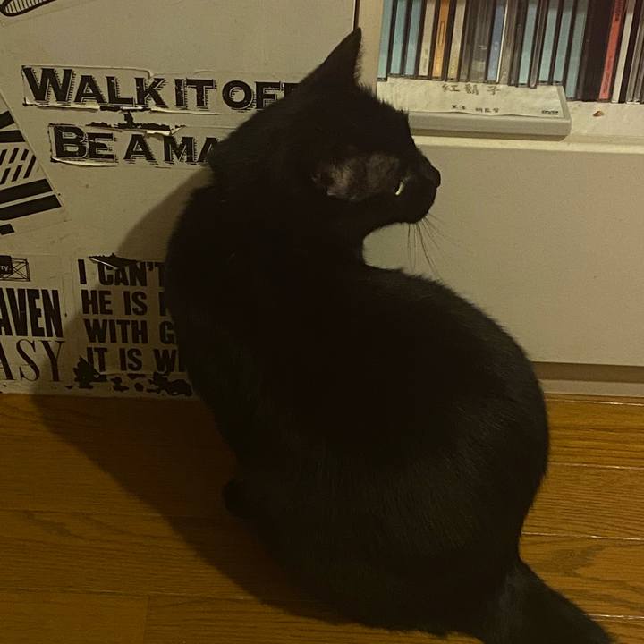 62bc8843 09d4 4d23 b37c 061ef6ed656e 1731163596729