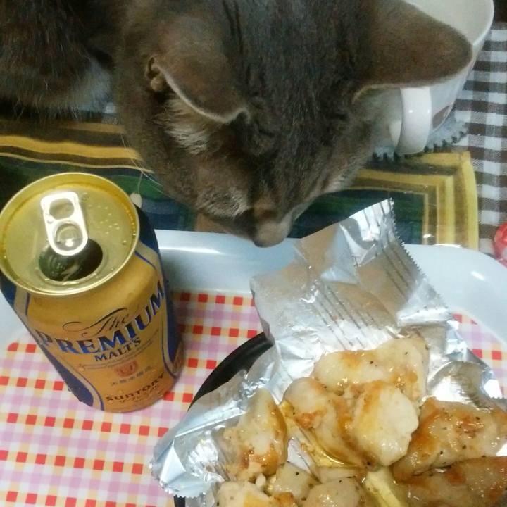 62bc921a 9753 48e2 896c 00f79709cdf5 1525365108117