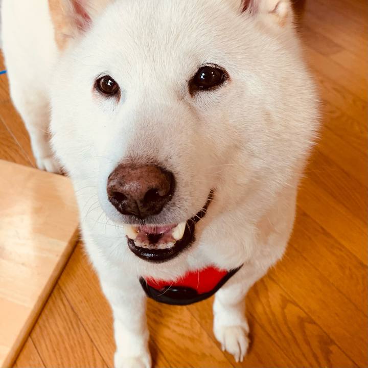 62bcaa57 a6b5 4a3b a626 77efe62efb7b 1678315275935